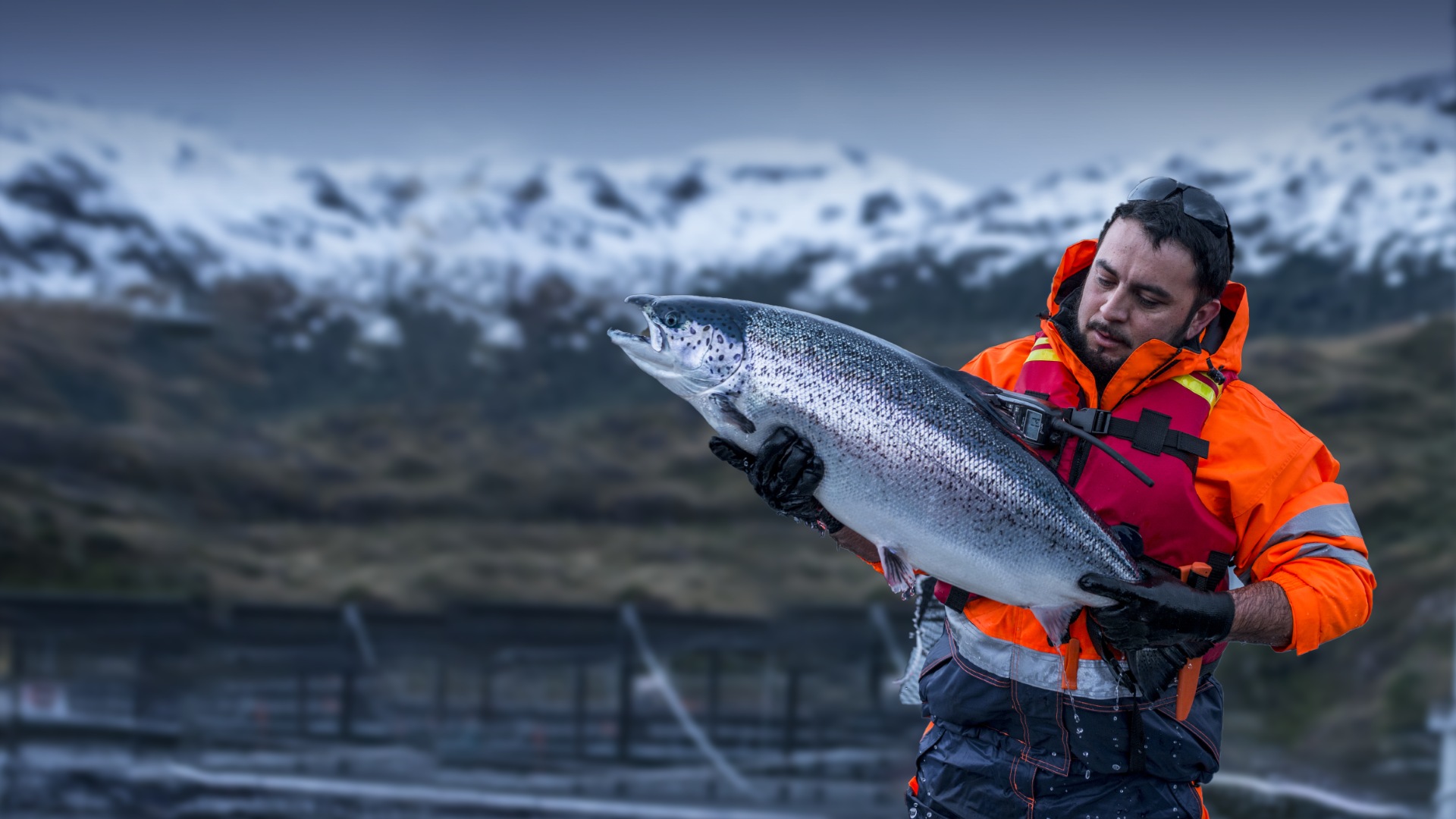 全球資源?中國消費(fèi)