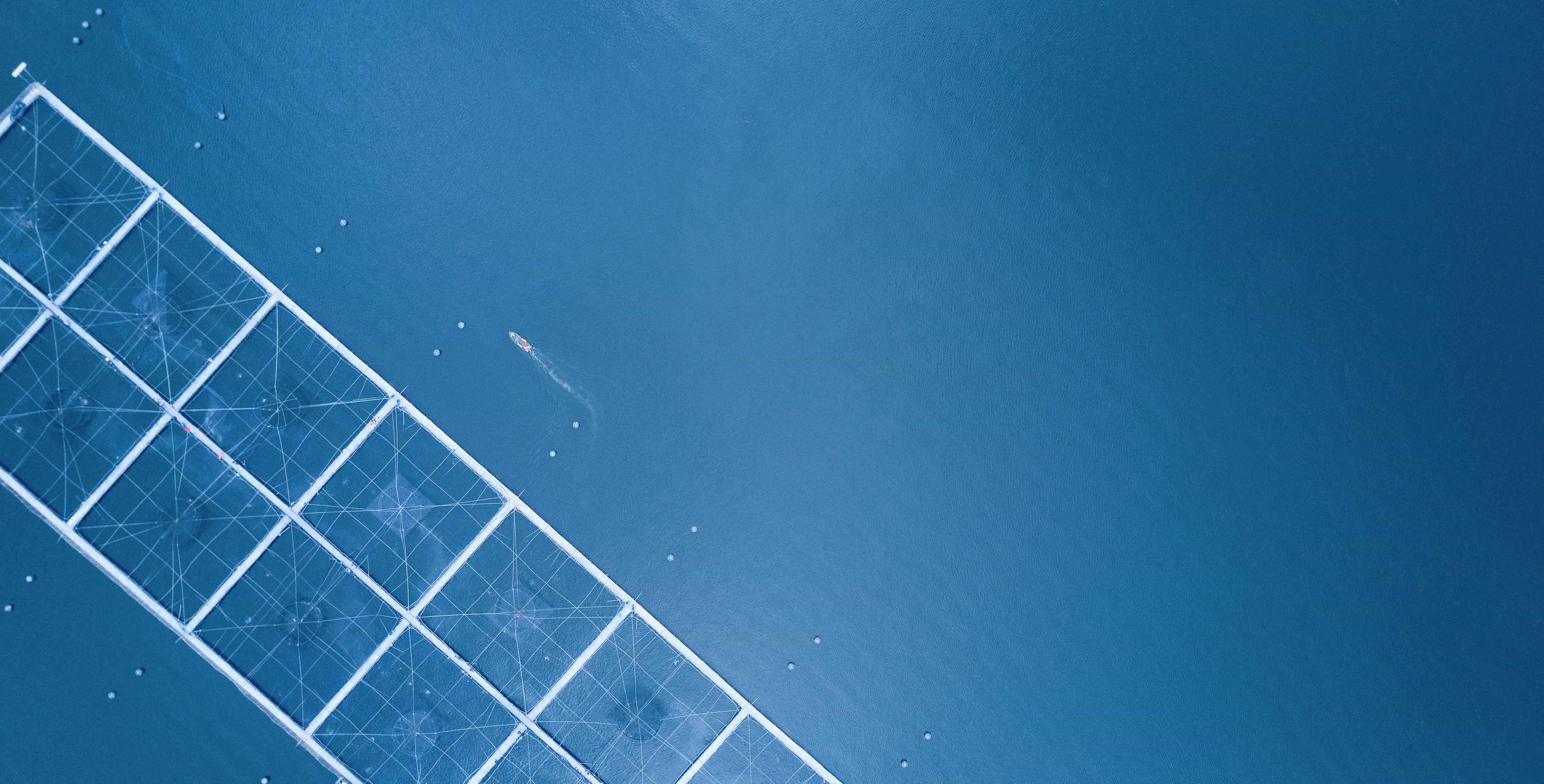 【科普】飼料轉化率（FCR）低于1，佳沃食品三文魚吃一斤長一斤技術大揭秘